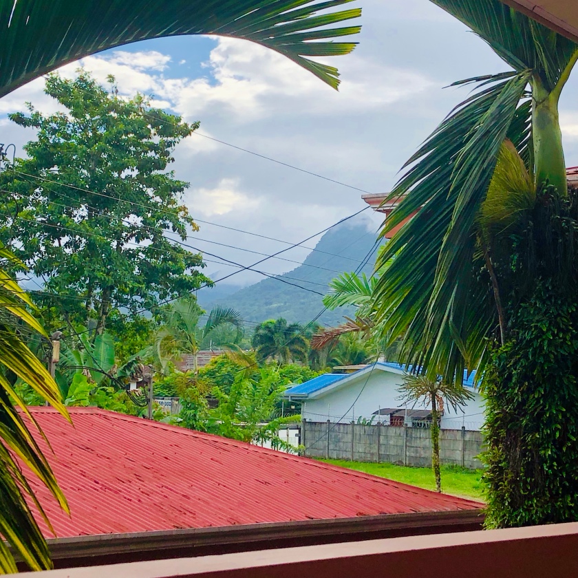 view from a balcony, palm leaves, rooftop, tree, a volcano in the distance, clouds