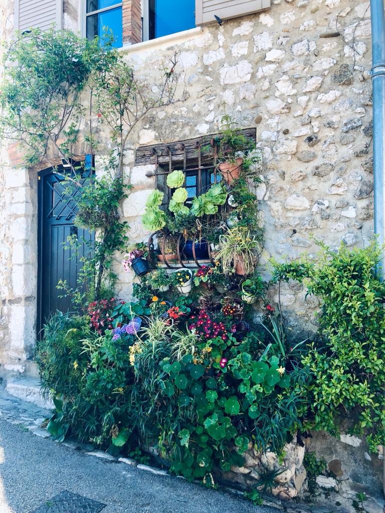 many plants next to a door